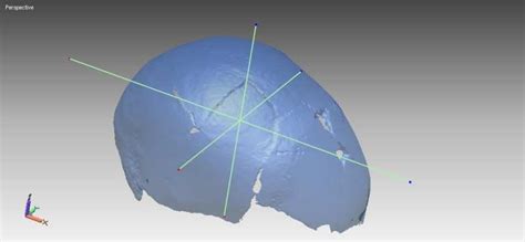 model of the skull with lacunas in evidence In Figure 8 the main axes ...