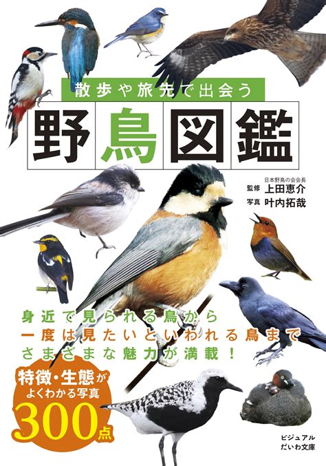 散歩や旅先で出会う野鳥図鑑 株式会社 大和書房 生活実用書を中心に発行。