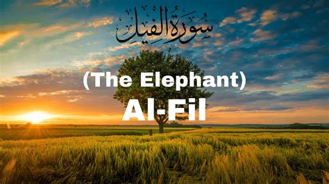 سورة الفيل Surah Al Fil with Urdu Translation 105 اردو ترجمہ YouTube