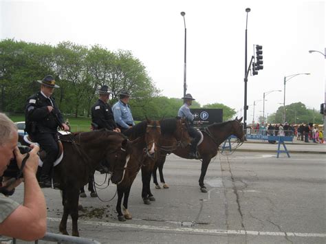 Police horses 1 by hopper195 on DeviantArt