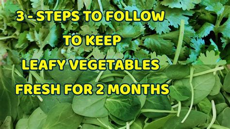 How To Store Leafy Vegetables How To Keep Green Leaves Fresh In Fridge