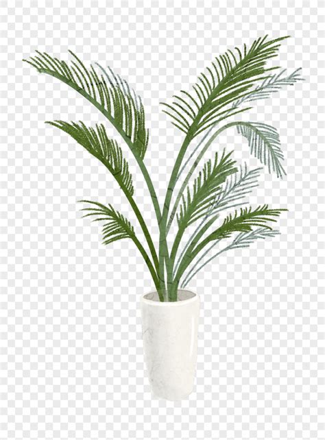 Plantas En Macetas Png Macetas Decoradas 2021