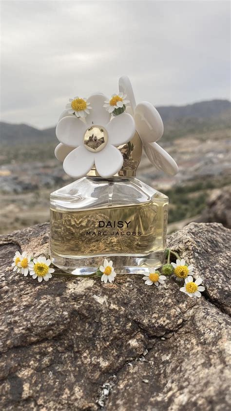 Daisy Marc Jacobs perfume - a fragrance for women 2007