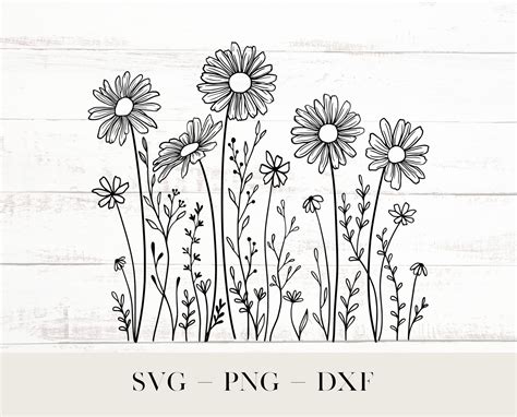 Daisies Svg Meadow Flowers Svg Wild Flower Svg Daisy Etsy