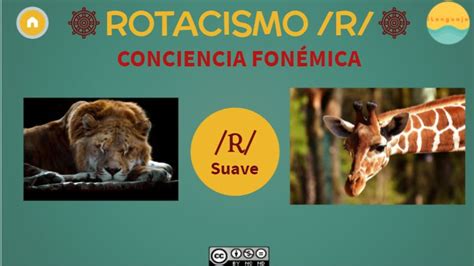 Rotacismo Articulaci N Fonema R Y Rr Actividad Interactiva Gratuita