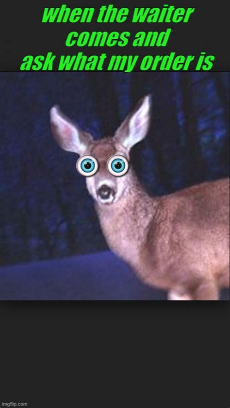 deer in headlights Memes - Imgflip