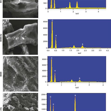 Scanning Electron Microscope Sem Images And Corresponding Sem Edx