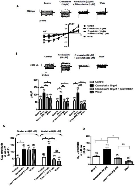 A Effects of cromakalim Crom 10 μM on whole cell KATP channel