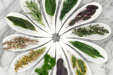 15 Best Herbs For Abundance To Add To Your Collection That Crystal Site