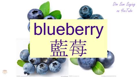 Blueberry In Cantonese 藍莓 Flashcard Youtube