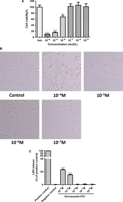 Dermaseptinps Display Antiproliferative Activity Against U Mg