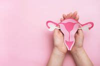 Uterus Adalah Arti Dan Fungsinya Pada Sistem Reproduksi Wanita