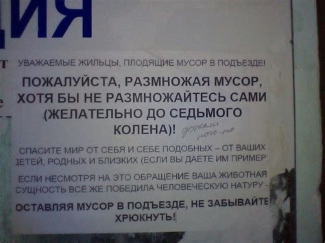 Соседи | Пикабу