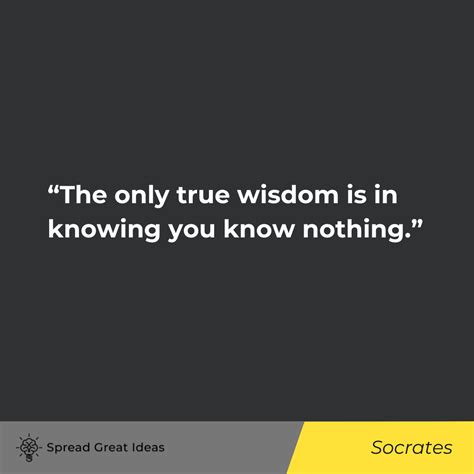 Wisdom & Philosophy Quotes: The Importance of Wisdom & Philosophy