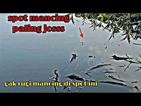 Spot Mancing Andalan Mancing Ikan Nila Di Rawa Ini Gak Pernah Boncos