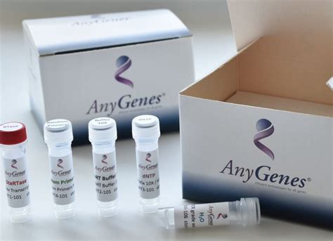 Start Reverse Transcription Kits For High Quality Cdna Anygenes