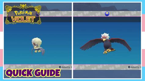 How To Evolve Rufflet Into Braviary In Pokemon Scarlet Violet Quick