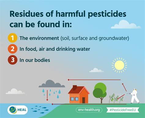 Health And Environment Alliance Infographic The Impact Of Harmful