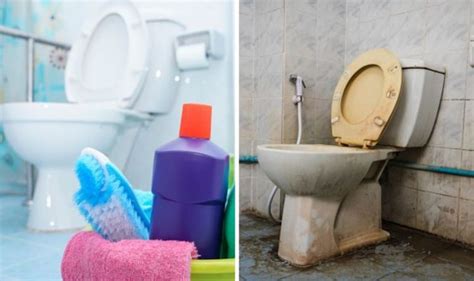 How To Clean A Stained Toilet Uk