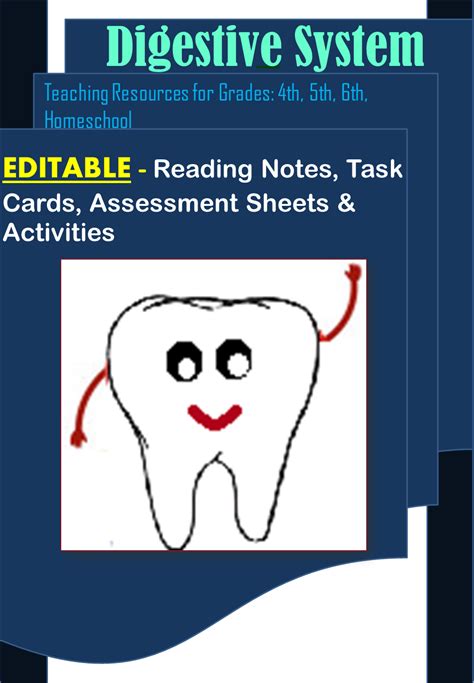 Ingestion digestion absorption assimilation egestion