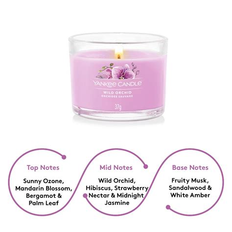 Buy Yankee Candle Filled Votive Scented Candle Wild Orchid Online