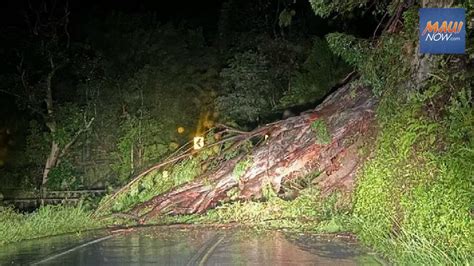 Traffic Advisory Downed Tree On H Na Highway Near Mile Maui Now