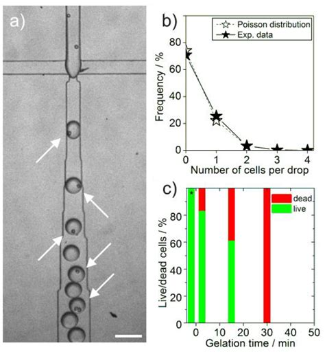 Microfluidic Generation Of Monodisperse Structurally Homogeneous