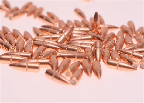 Hornady Cal Gr Fmj Bullets