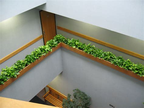 How to Design with Pothos, an Indoor Office Plant Wilmington ...