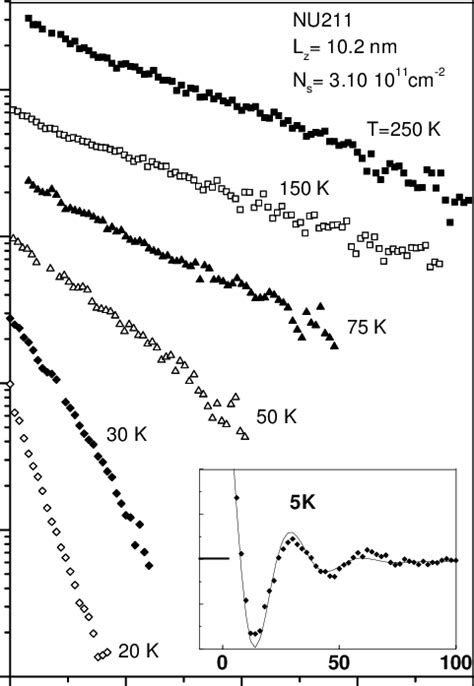 Time Evolution Of The Signal And Hence The Spin Polarisation For