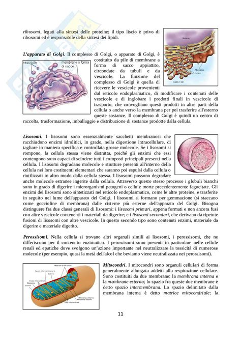 Appunti Di Biologia La Cellula