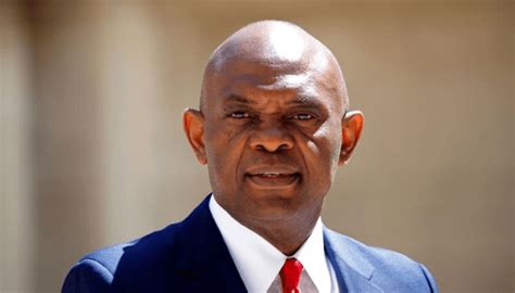 Elumelu S Transcorp Consolidates Stake In Nigerias Power Sector