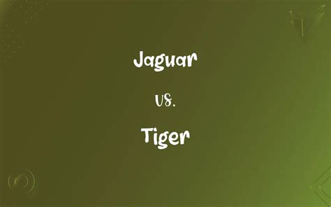 Jaguar vs. Tiger: What’s the Difference?