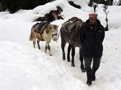 Traveling in Morocco in winter - Atlas Mountains Guide