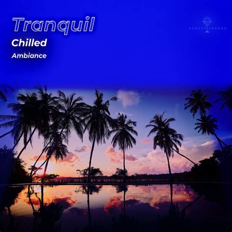 ZZz Tranquil Chilled Ambiance ZZz Album By Chill Out 2016 Spotify