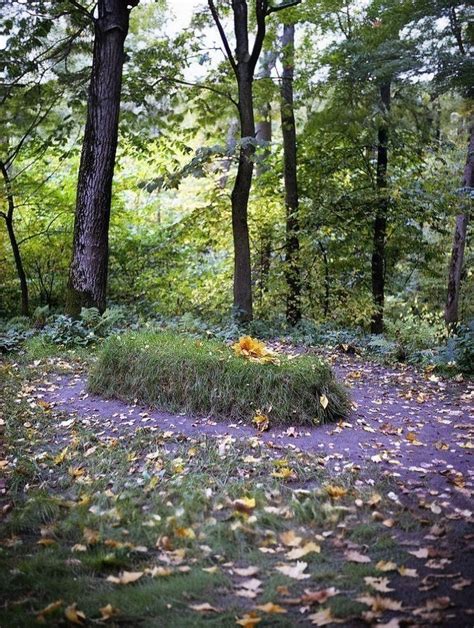 Il y a 195 ans naissait Léon Tolstoï L humble tombeau de l écrivain est