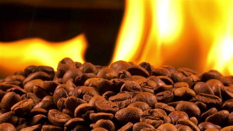 Roasted Coffee Beans and Fire 1791026 Stock Video at Vecteezy