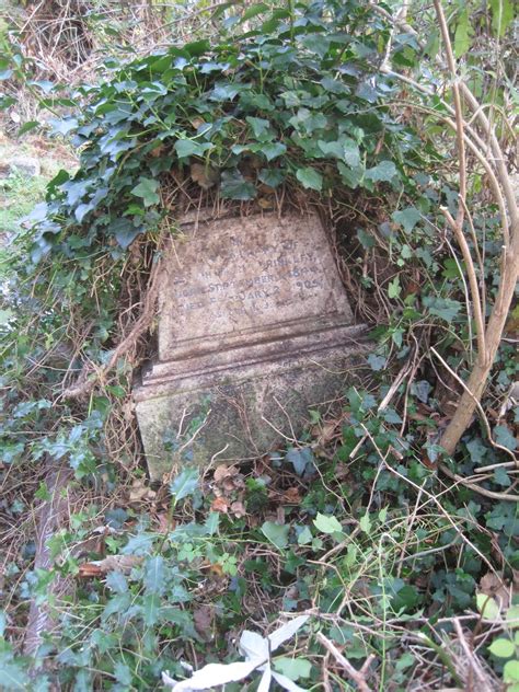 Frederick Brinkley; James Brinkley; Kate Elizabeth Brinkley; Sarah