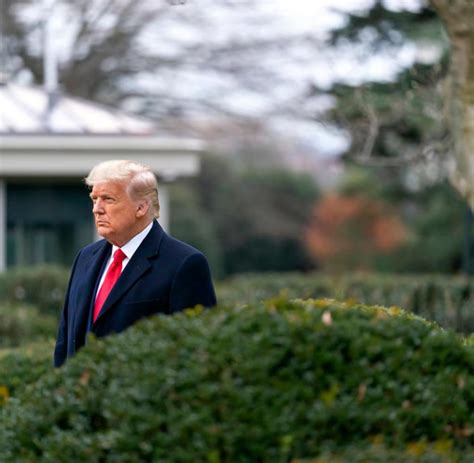 Sturm Auf Das Kapitol Ausschuss Will Donald Trump Vor Gericht Bringen Video Welt