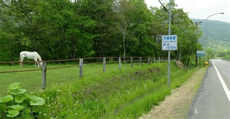 [北海道：満喫の天馬街道]（日高地方）…目指した浦河町 ﾊｯﾋﾟｰ三郎「ﾛｰﾄﾞﾊﾞｲｸでｻｲｸﾘﾝｸﾞを楽しむ」 ♢過去の乗り鉄