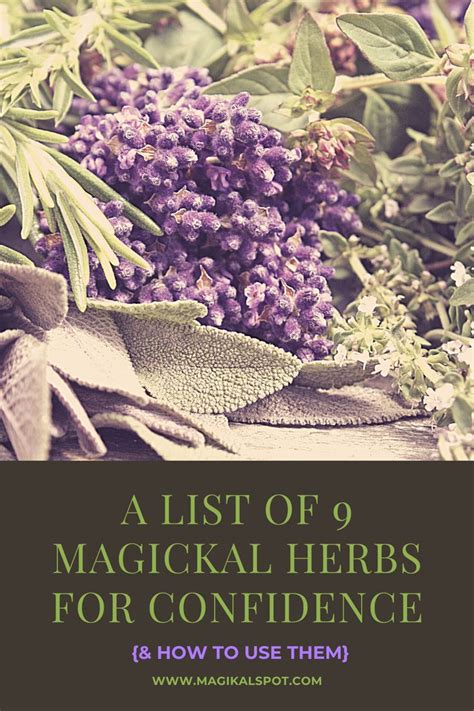 A List Of Magickal Herbs For Confidence Diy Magickal Herbs