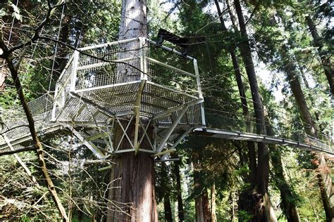 Greenheart Treewalk Ubc Botanical Garden Vancouver B C A Photo