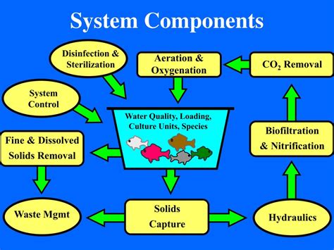 Recirculating Aquaculture System Components