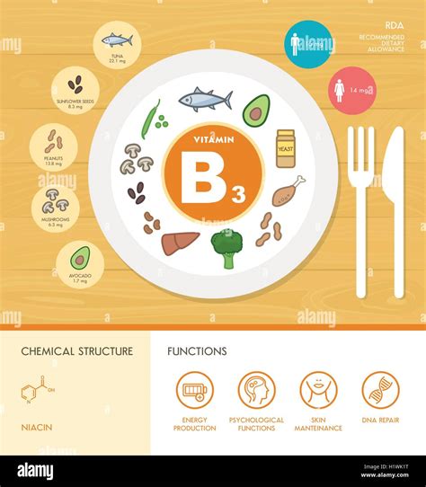 Vitamin B3 Nutrition Infographic With Medical And Food Icons Diet