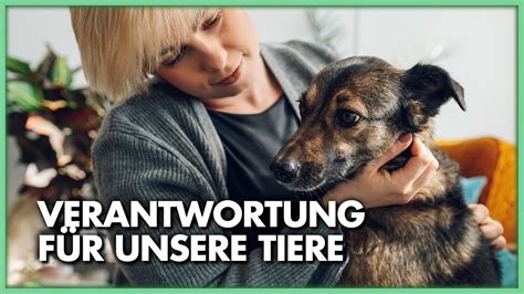 Verantwortung F R Unsere Tiere Mithilfe Von Klangcodes Youtube