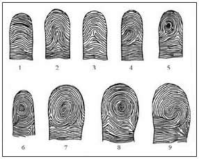 Composite Fingerprint