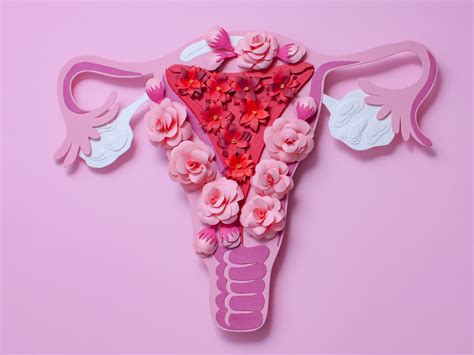 Como preparar o útero para engravidar | Clínica Amanda Figueiredo