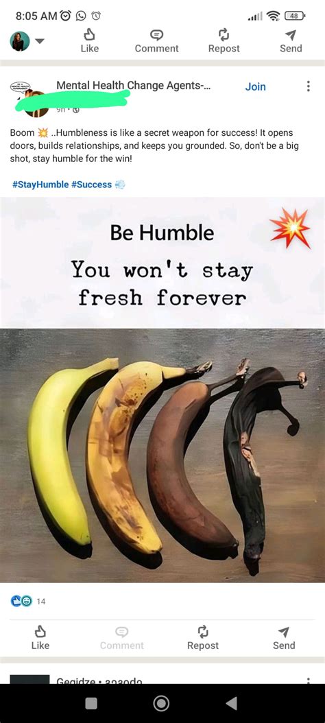 Bananas are not what you think - the shocking truth behind bananas! : r ...