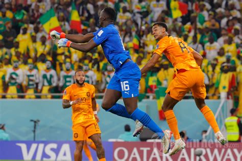 Senegal Vs Belanda Foto Tribunnews