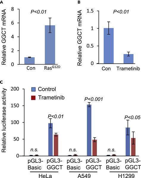 Ras Downstream Effector GGCT Alleviates Oncogenic Stress IScience